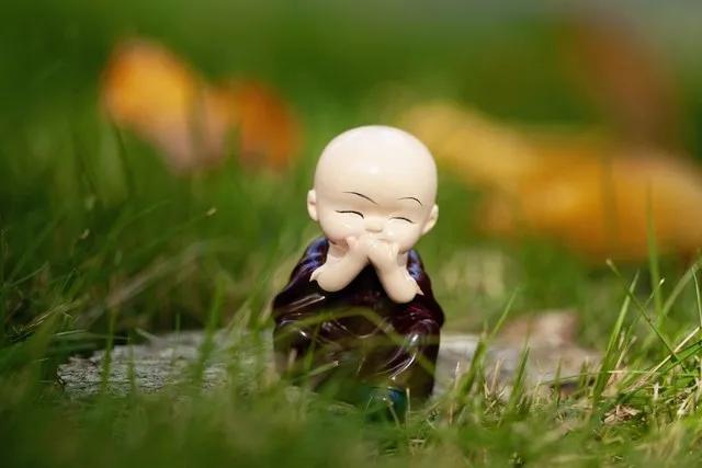 人生九悟你能悟出几个,人生八悟是什么