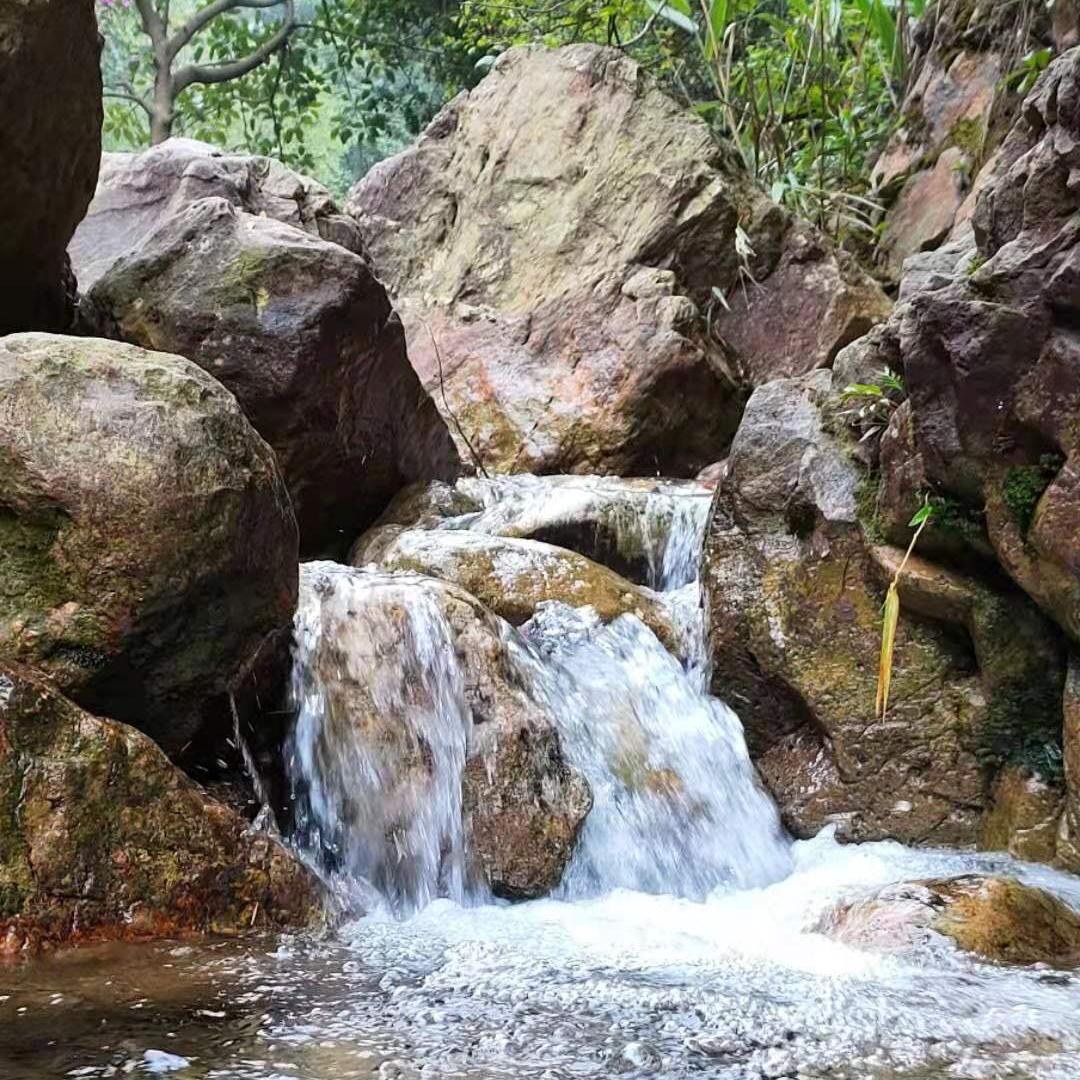 悟空到达圣地,悟空怎么从五指山出来的