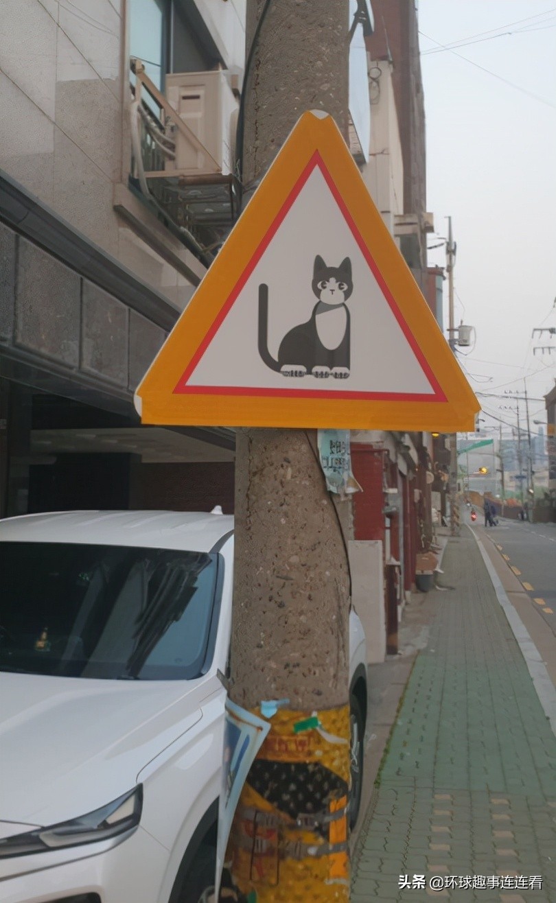 50张惊艳世界的图片,100张颠覆三观图片