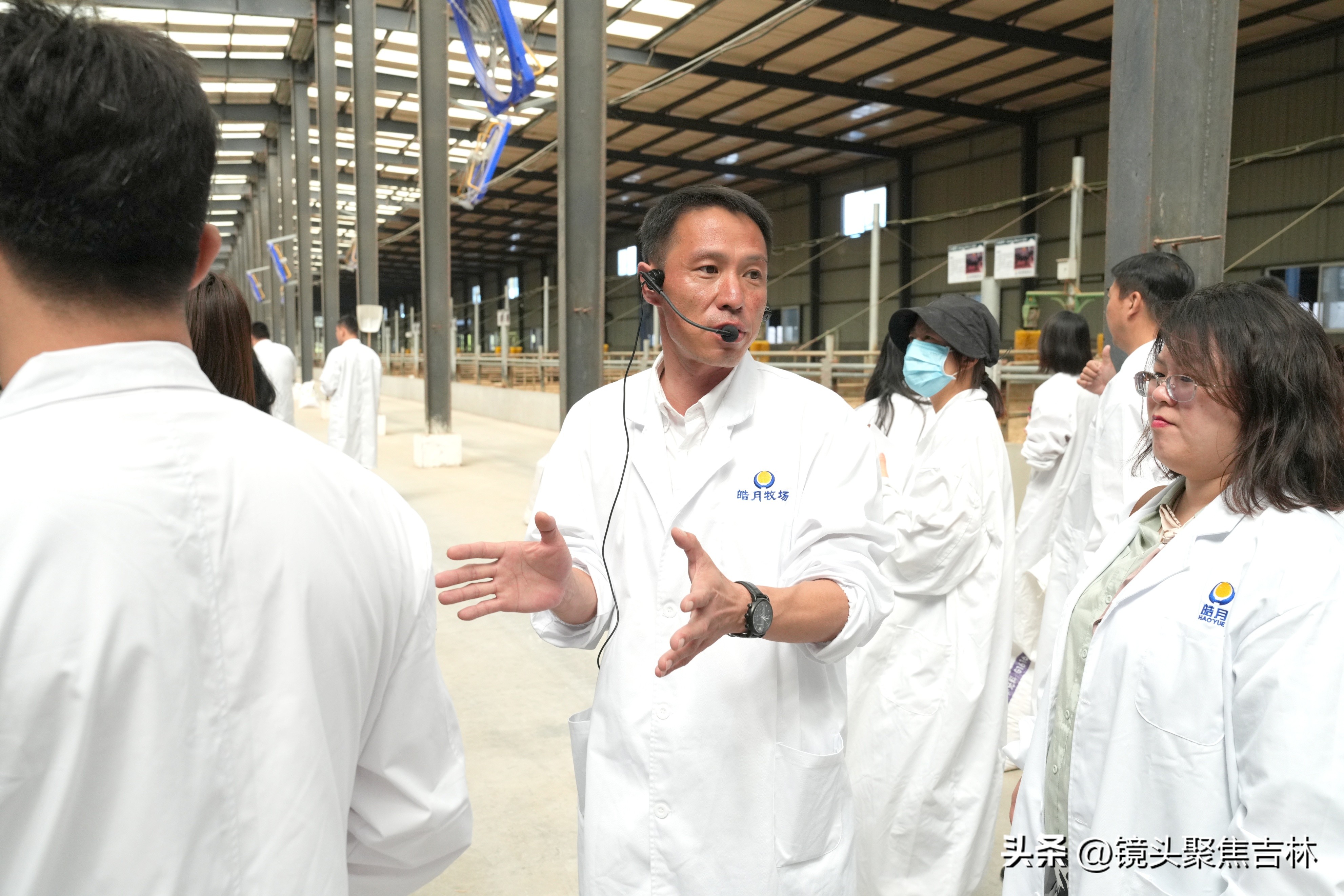 皓月集团宣传片,皓月集团规划