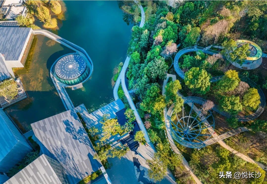 从『万科式』热销，看森林人居的高光热望！