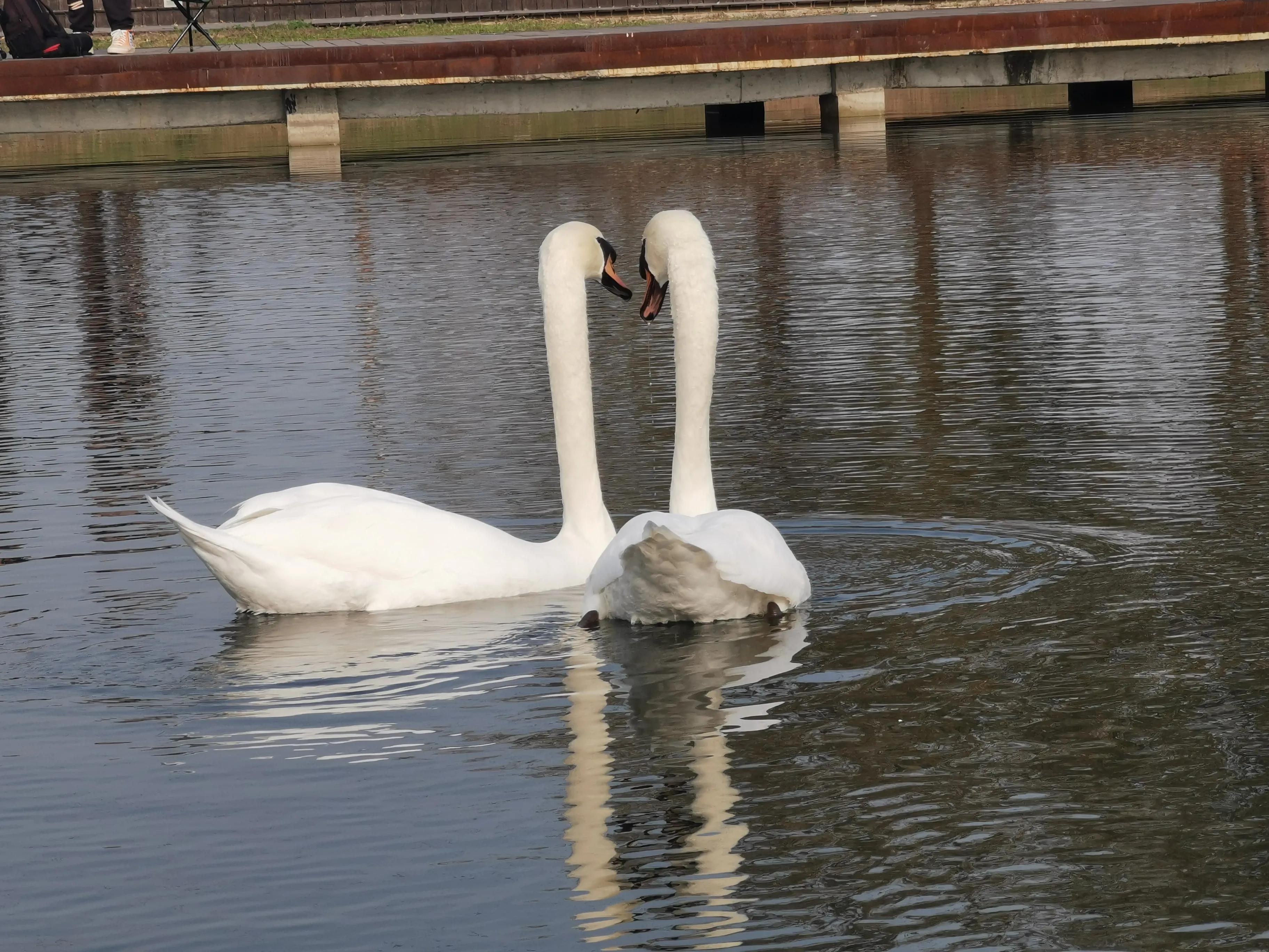 郑州夏季周末带孩子去哪里玩好,郑州周末带孩子去哪里玩比较好
