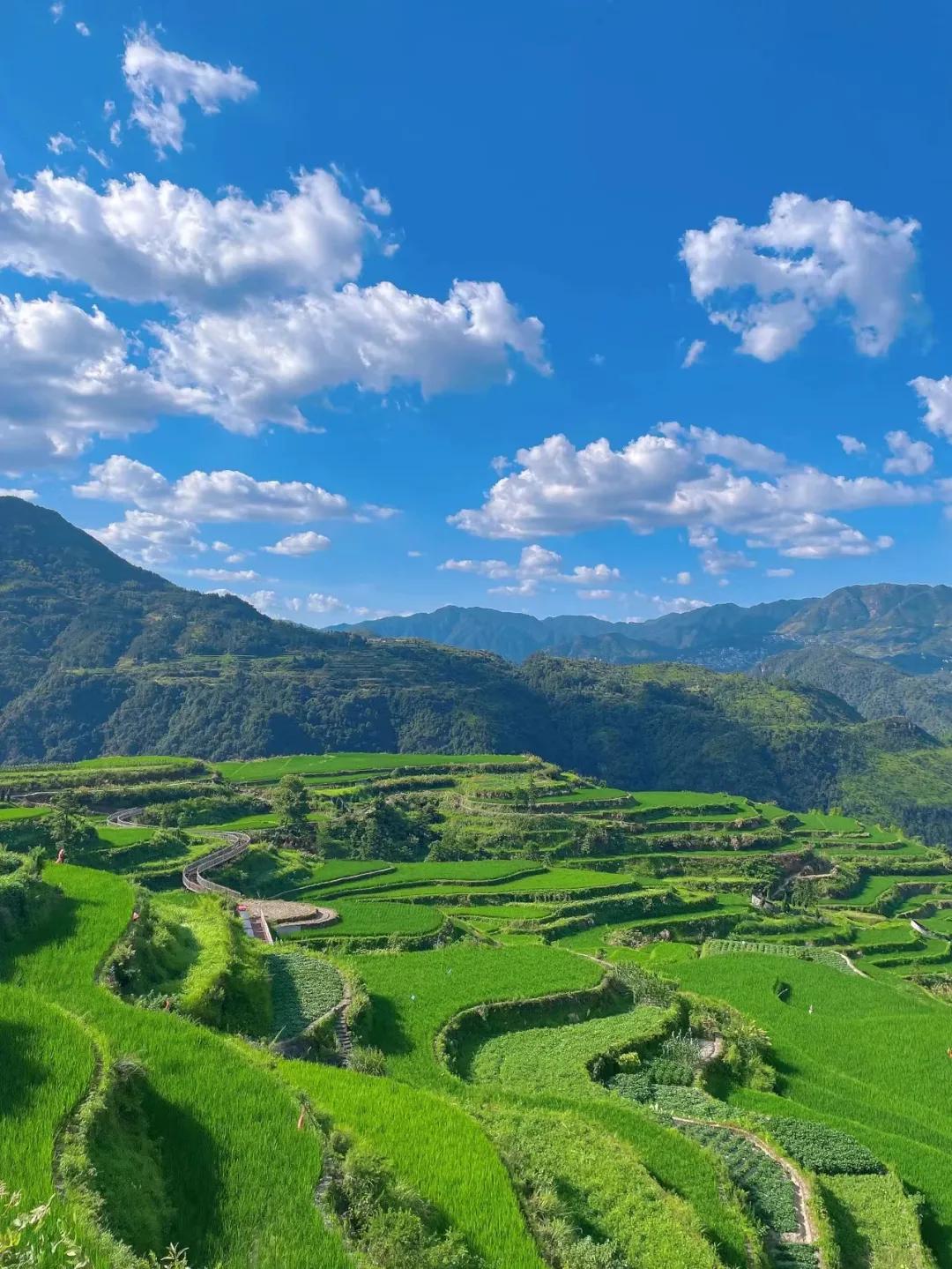 高铁2h直达！这座被忽略的浙江县城，买菜用欧元，连央视都来体验