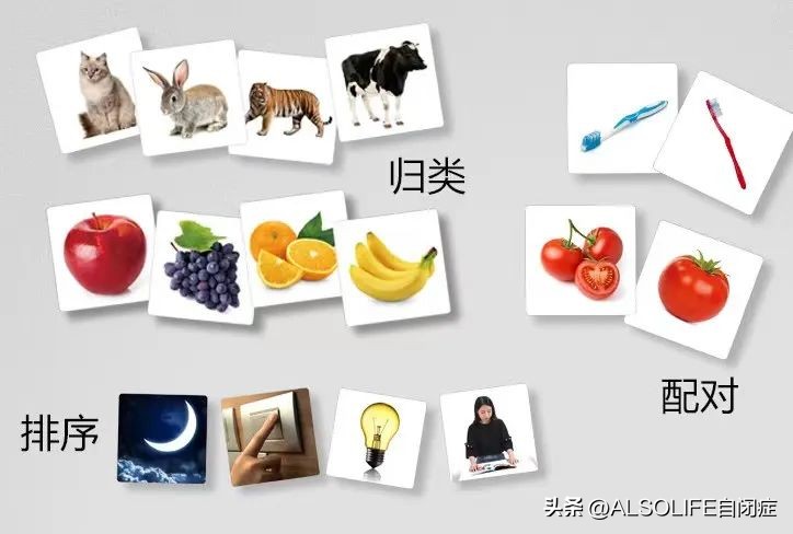 自闭症刻板行为不爱穿新衣服,自闭症的重复刻板行为有哪些