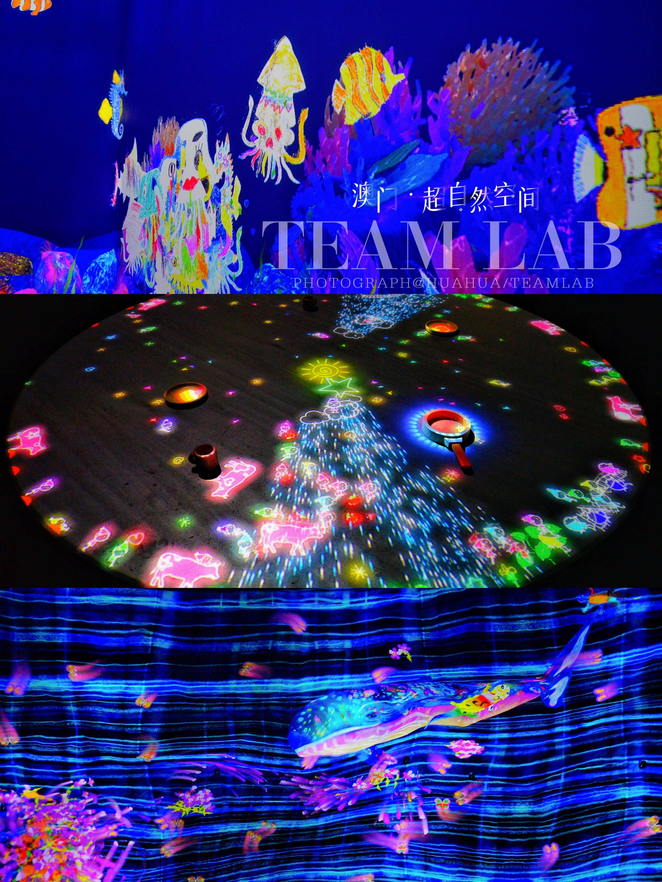 澳门旅游攻略自由行五一,澳门旅游攻略自由行一天夏天