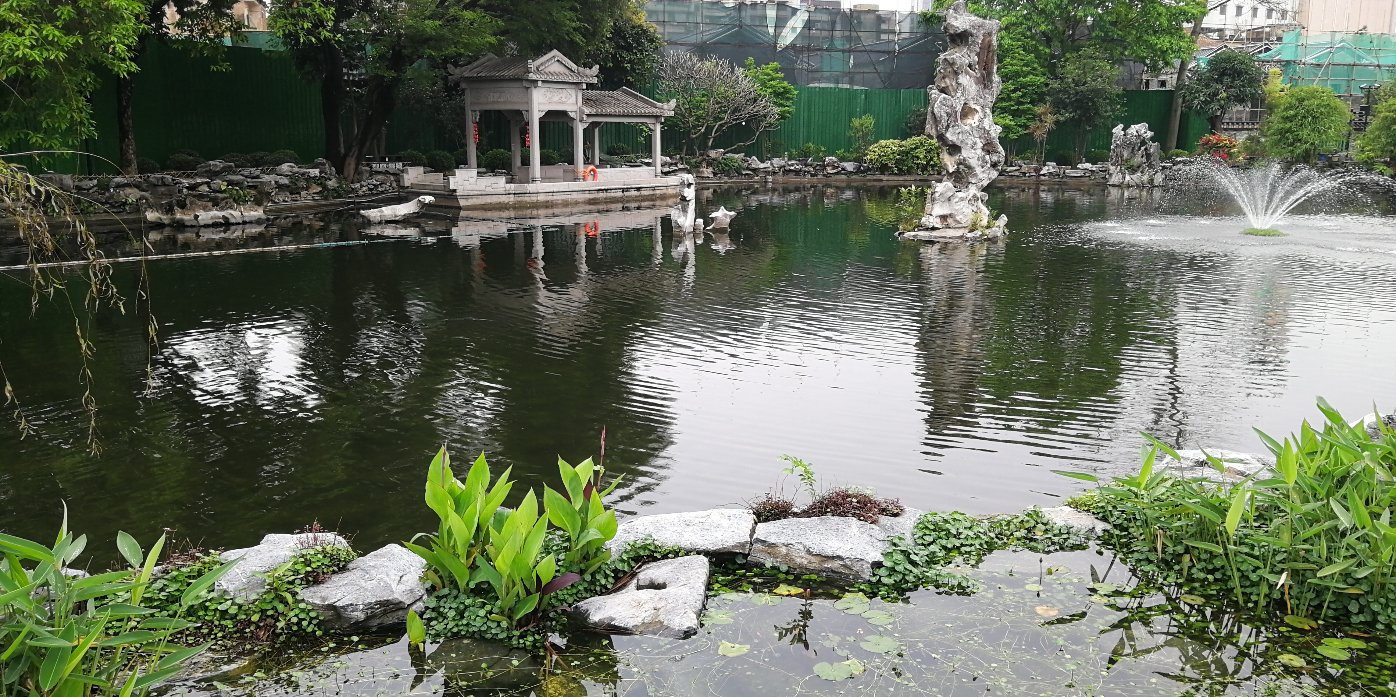 广州景点赏花攻略一日游,广州附近赏花旅游景点推荐