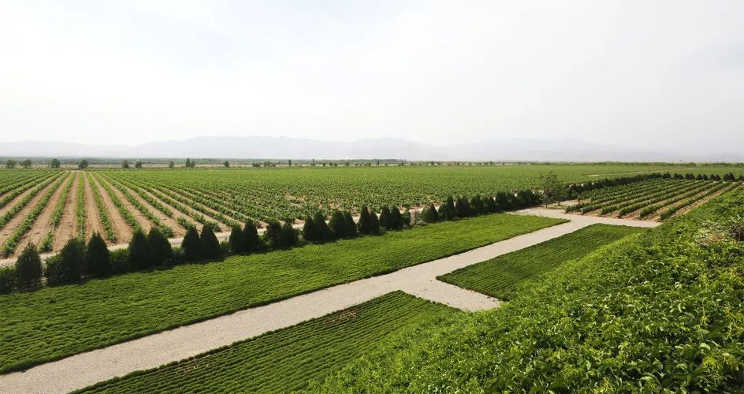 别“小看”了91.92亿