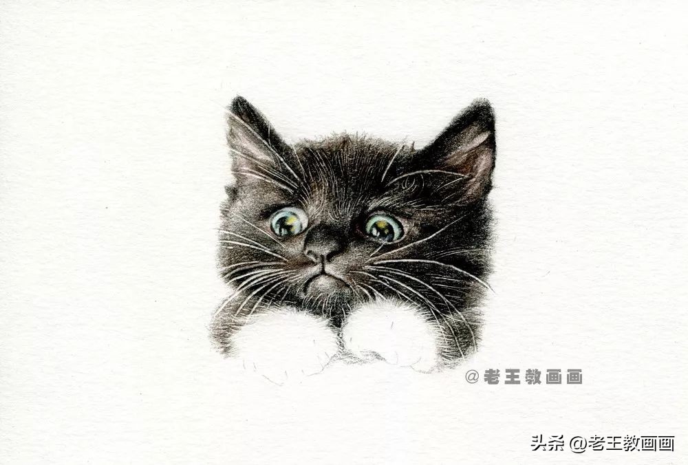 彩铅基础教程，教你画一只小黑猫咪