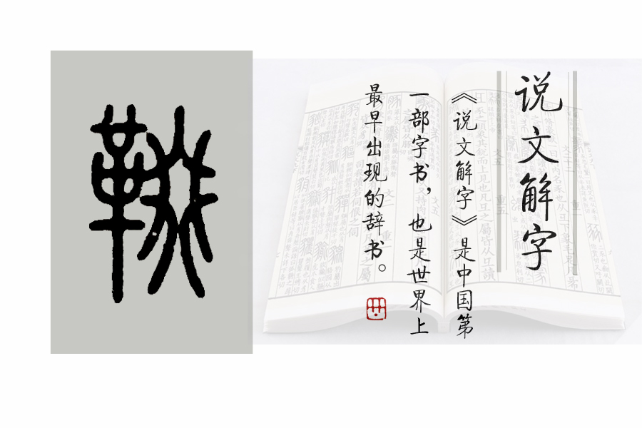 《说文解字》526课：与“马鞍”相关的汉字