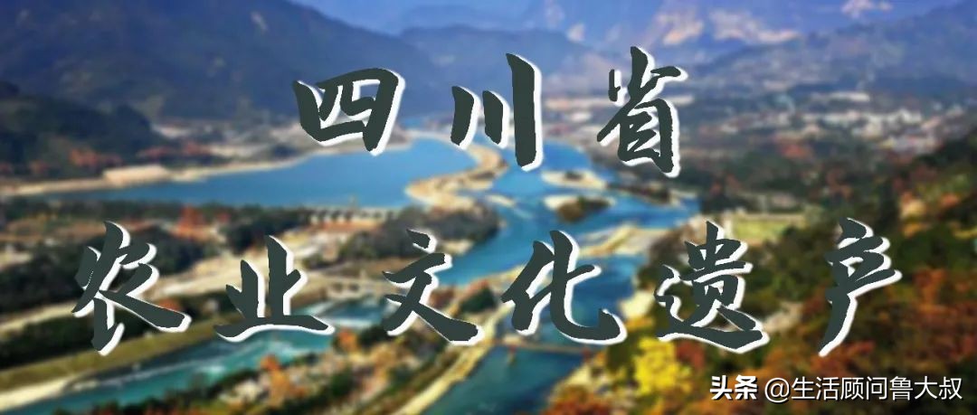 天府之国是该火一把了