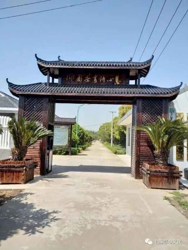 琼瑶飘逝的梦小说,琼瑶和琼瑶谁漂亮