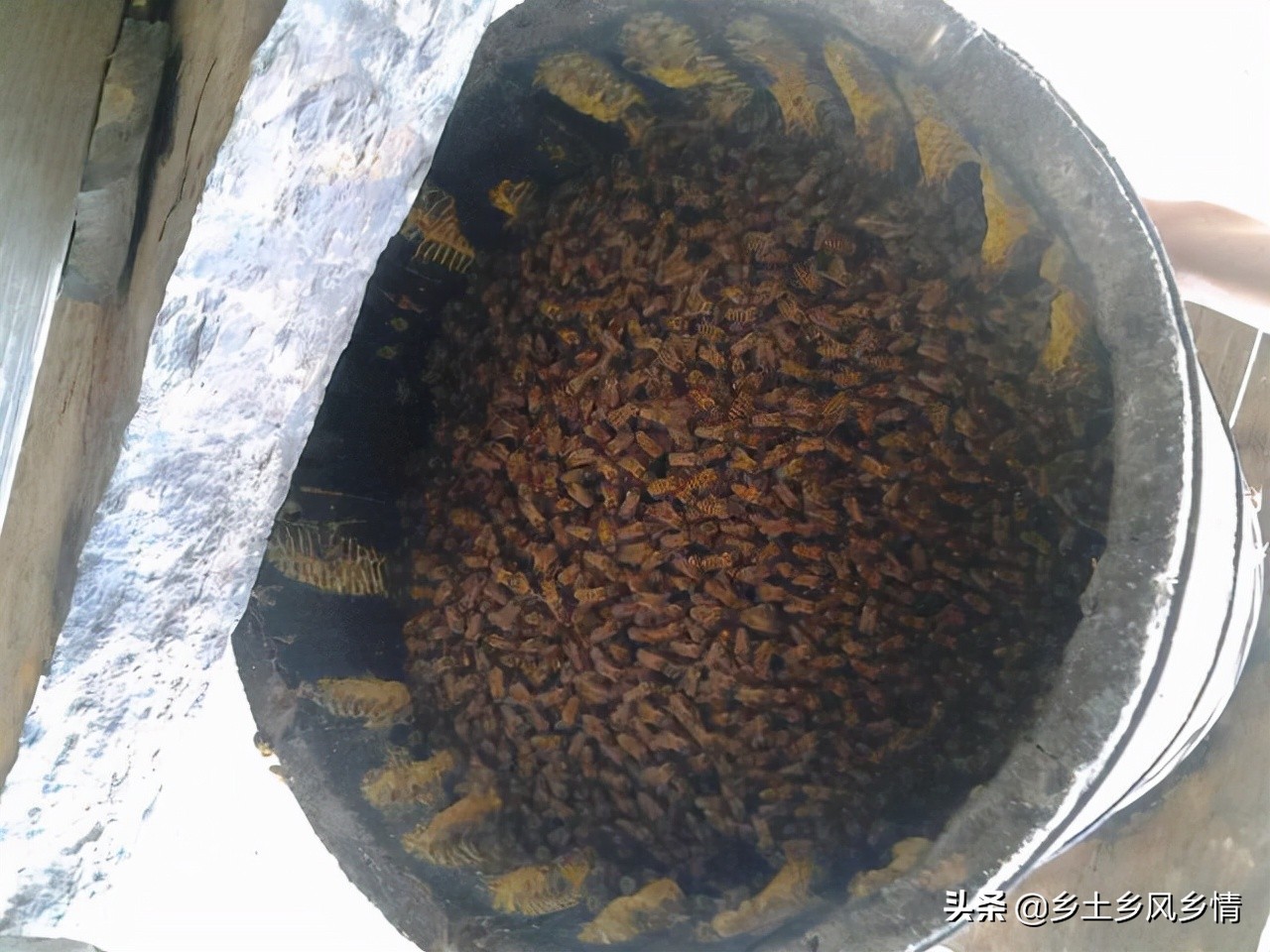 诱蜂最有效方法和技巧,最新诱蜂的最快方法