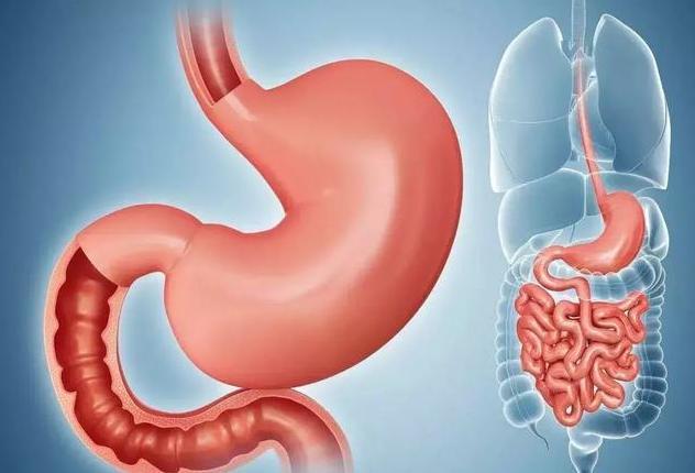 这三种食物是胃病的克星,胃病克星的几样食物