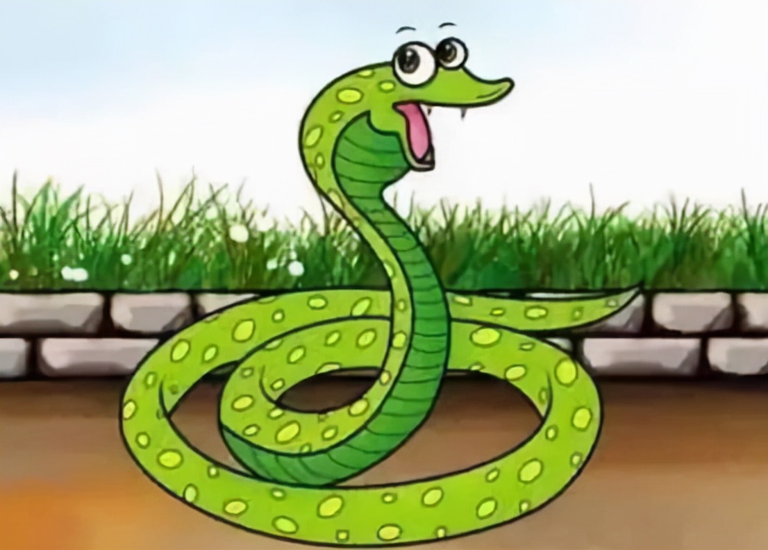 巨蟒报恩的真实事件,海南巨蟒为报主人救命之恩