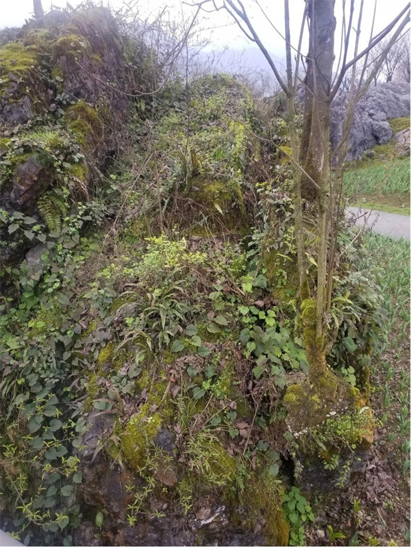 荥经云峰寺“飞来石”的搬运工是唐朝名将韦皋