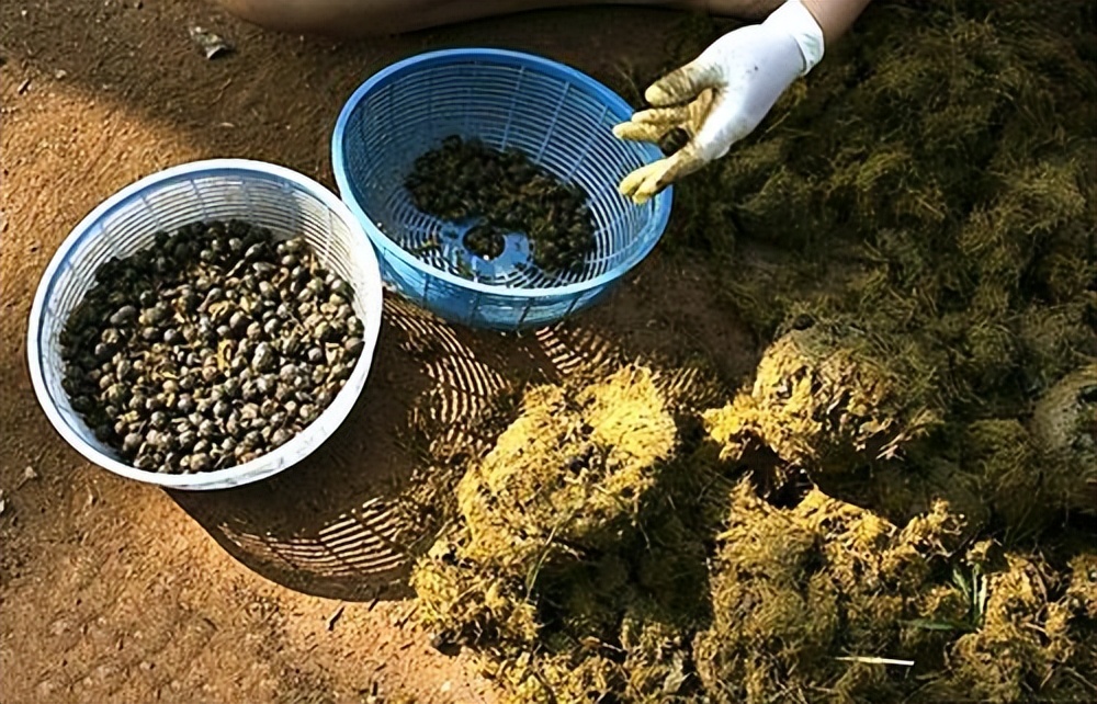 泰国高清图片大全,泰国旅游图片大全真实照片