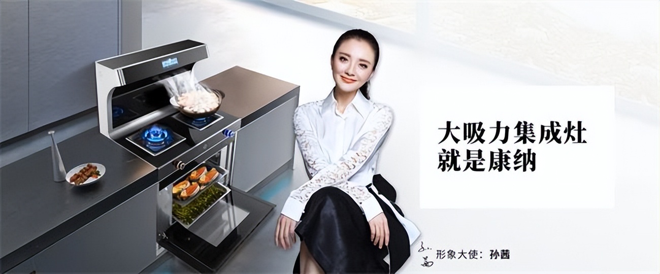 国内高端厨电品牌排行榜,国产商业厨电品牌十大排名