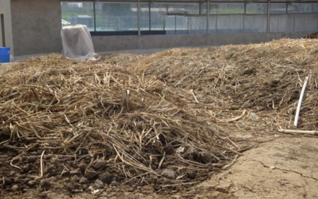 蚯蚓养殖过程及注意事项,蚯蚓养殖需要技术吗