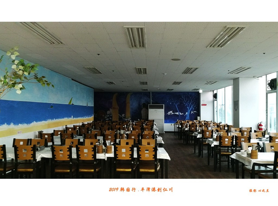 韩国行中国行,韩国行旅行团