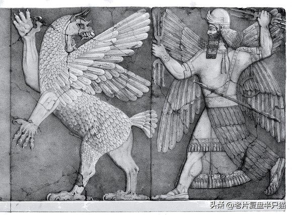 哥斯拉20个泰坦解析,哥斯拉2泰坦巨兽彩蛋