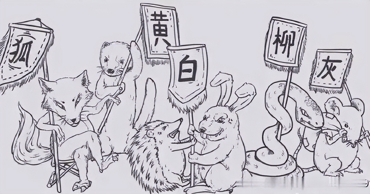 为什么家里进蛇不能打看完涨知识,家里进蛇怎么办蛇怕什么