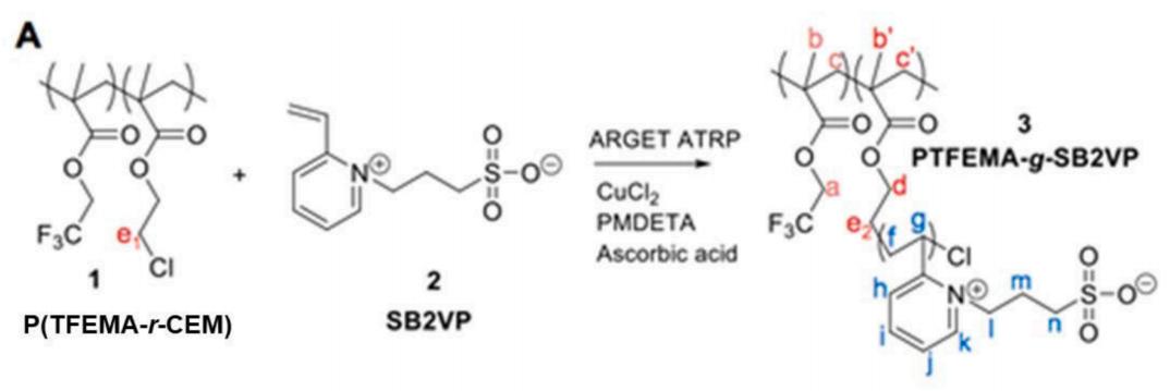 环糊精聚合物的自组装,聚合物胶体的自组装