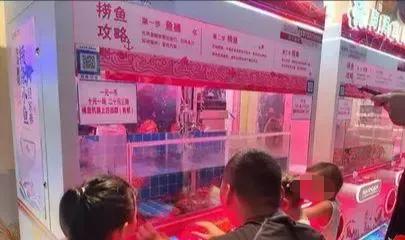 广州商场惊现娃娃机,广东惊现活体娃娃机