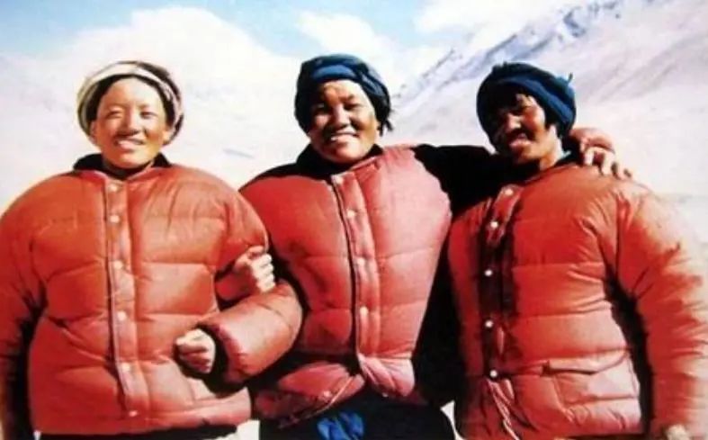 国产羽绒服有假的吗,为什么国产羽绒服越来越贵