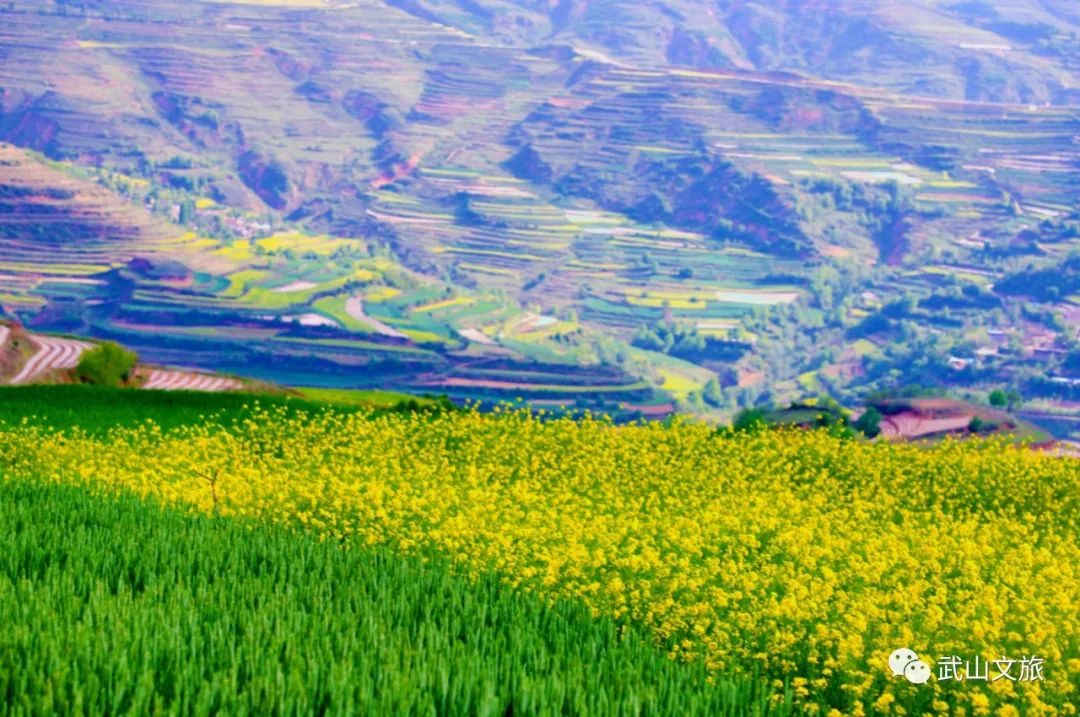 中国十大魅力之城——天水欢迎您来打卡千山万水就爱天水魅力五月打卡十有武山——,四马年村