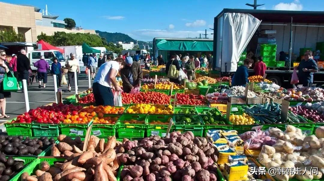 新西兰地球上最美的国度,新西兰地球独有的风景