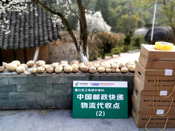 重庆市綦江区市场监督管理局,綦江市场监督管理局