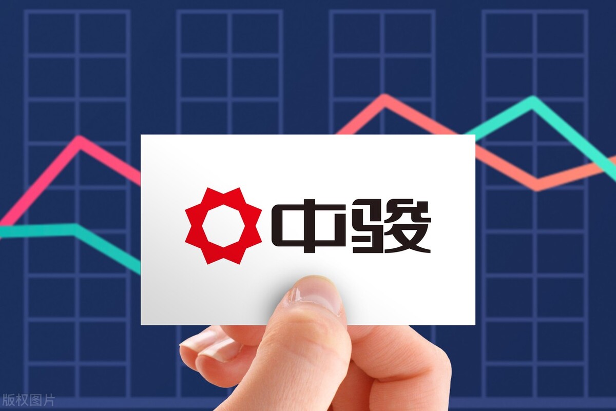 中骏集团区域公司,中国中骏集团