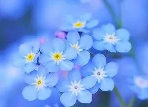 蓝颜知己是什么意思,蓝颜知己小说完整版