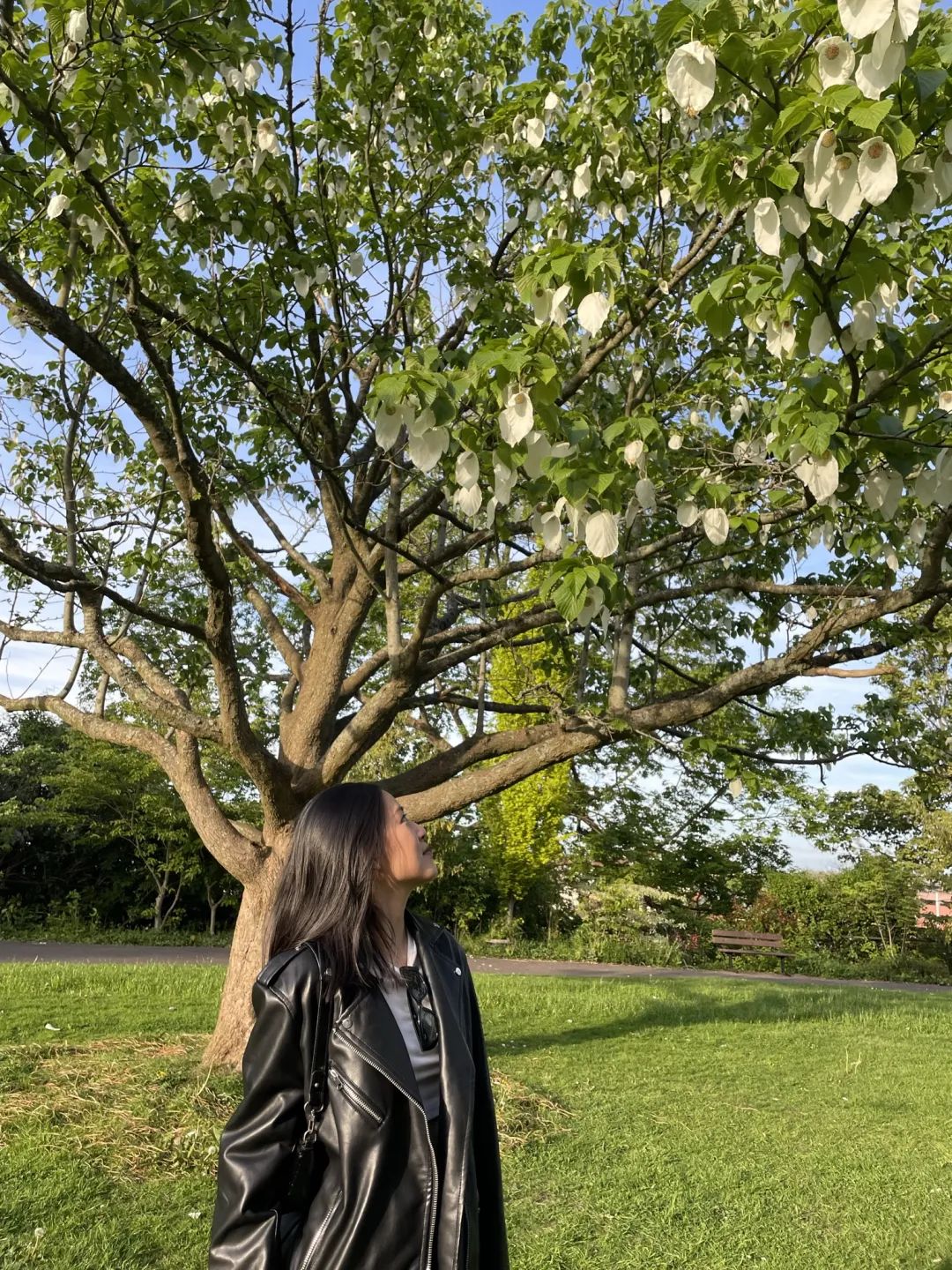 英国和香港硕士选哪个,香港硕士和英国硕士对比