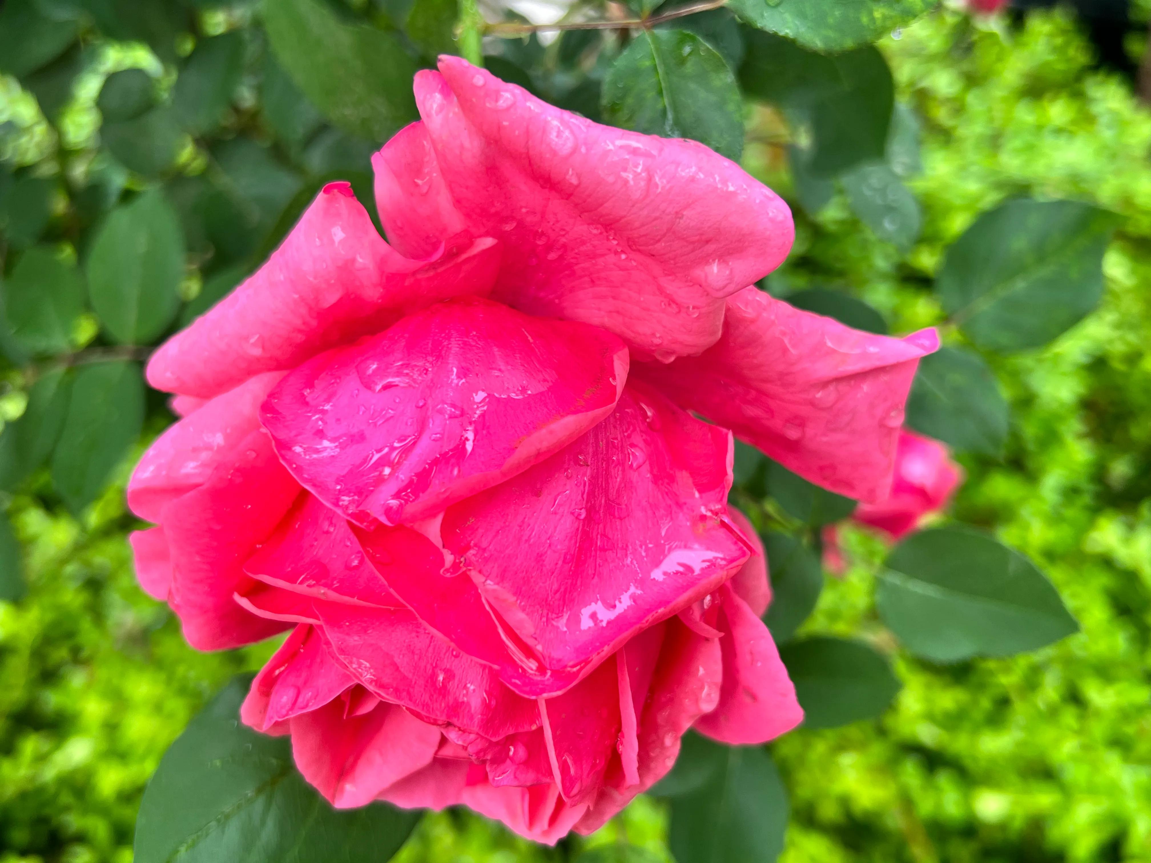 慧眼识得真金,人身上隐藏着神秘的“宝藏”,只是没有人去识别