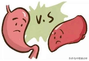 膀胱湿热祛湿利尿中成药,十大祛湿热的中成药