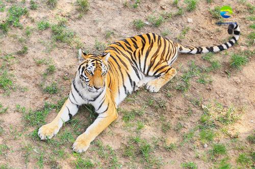 威海2天1夜攻略,威海2天一夜旅游攻略