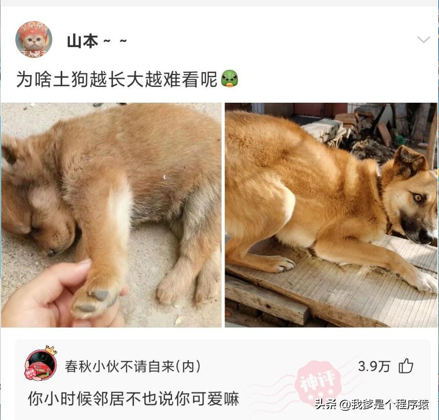 优选顺口溜,优选段子大全搞笑