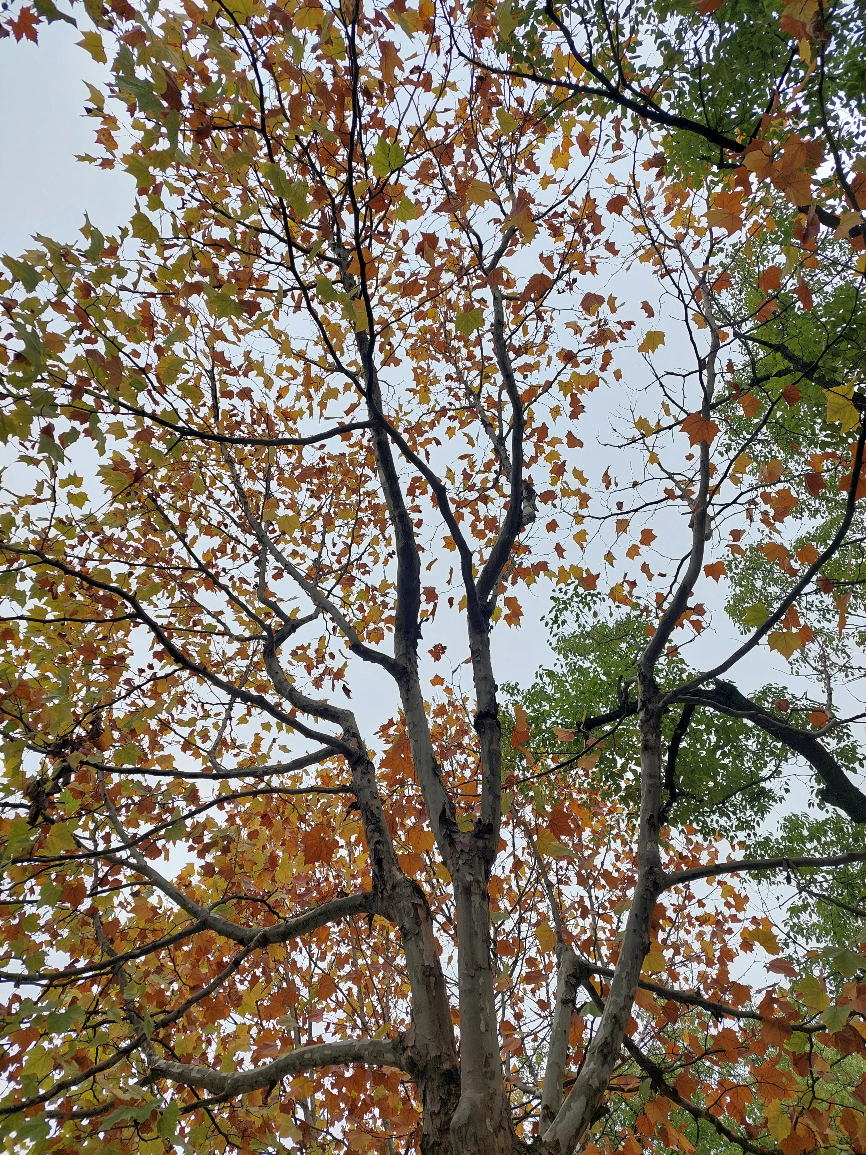 点球大战门将和主罚球员谁压力大,点球大赛门将互点