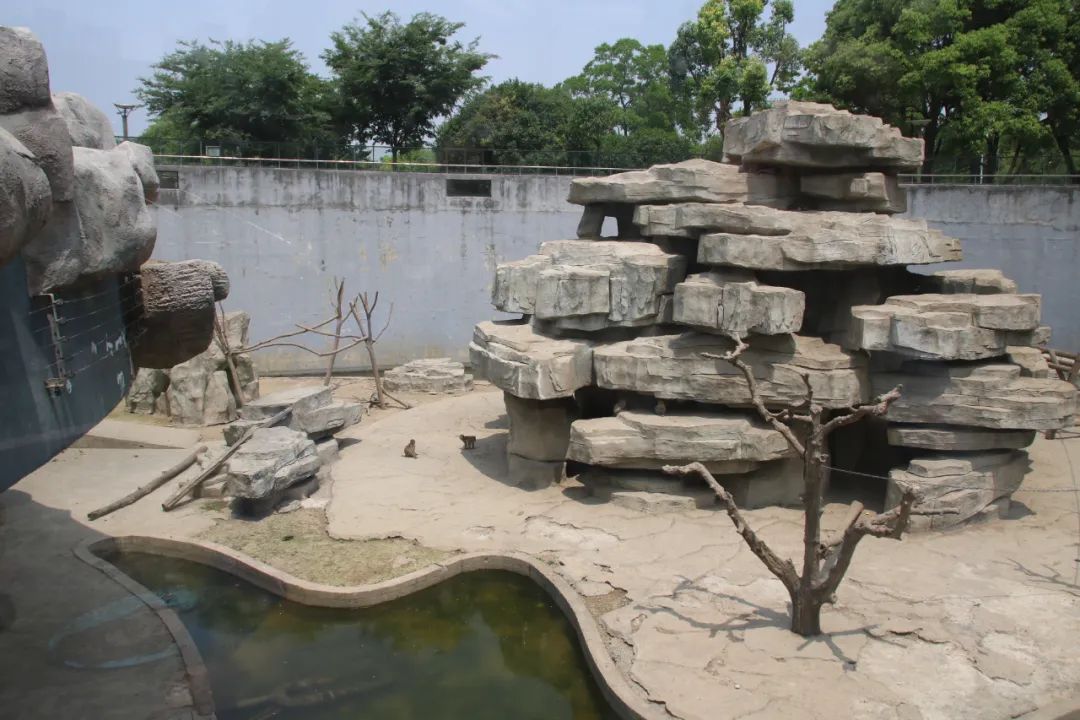 邢台动物园变大了没,淮安动物园开发时间