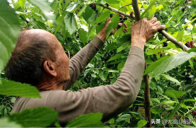 大凉山乡村振兴,遇见美丽大凉山1-8集