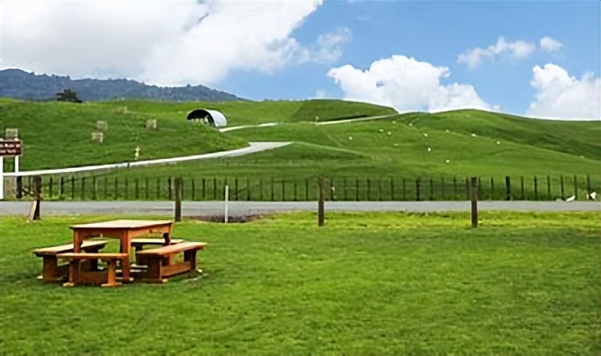 荷兰厨师劳务签证,荷兰厨师签证有回访电话吗