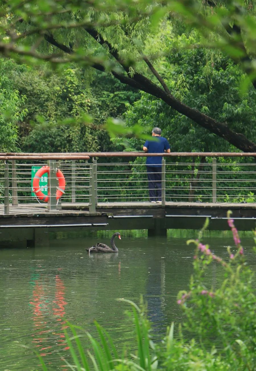 苏州园林的新景点有哪些地方,苏州园林文化遗产公园