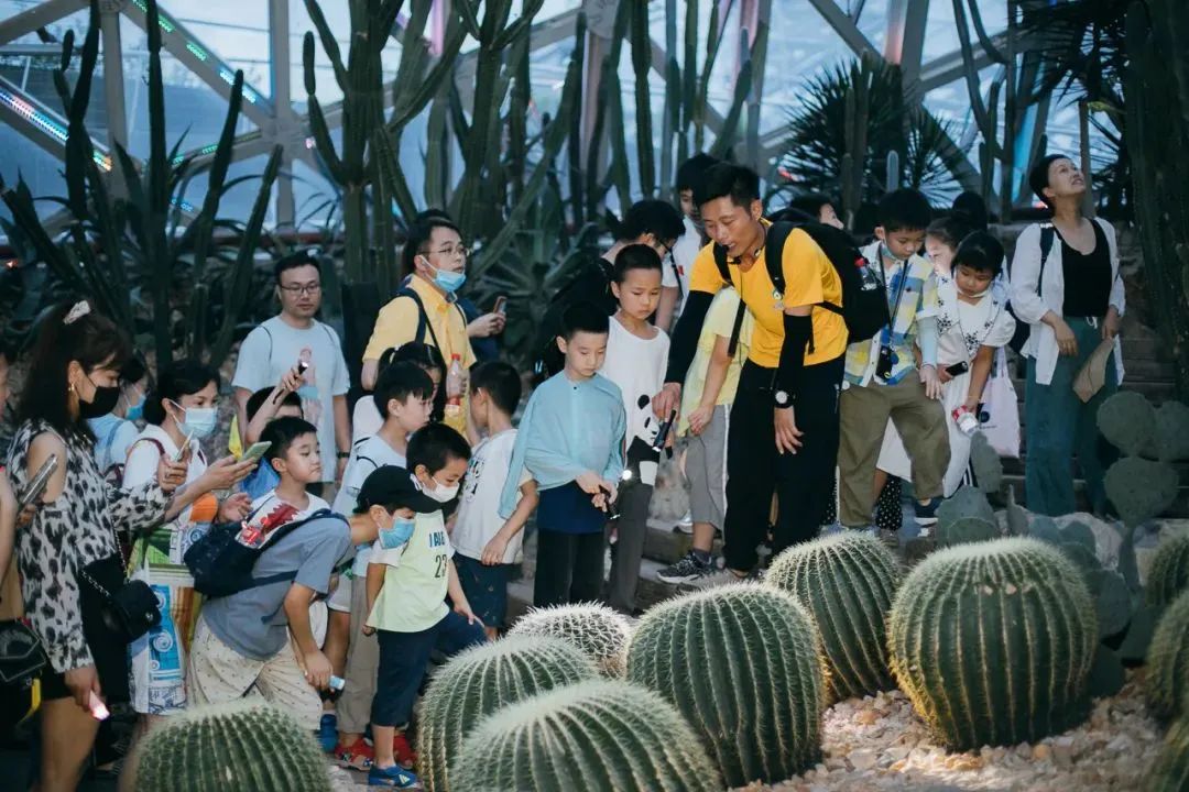 上海沉浸式夜游公园,上海森林公园夜游