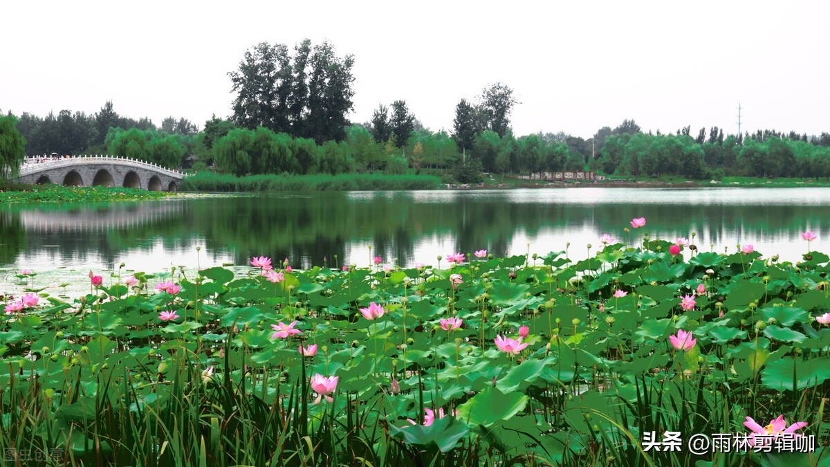 颐和公园游玩攻略,比颐和园大的园林