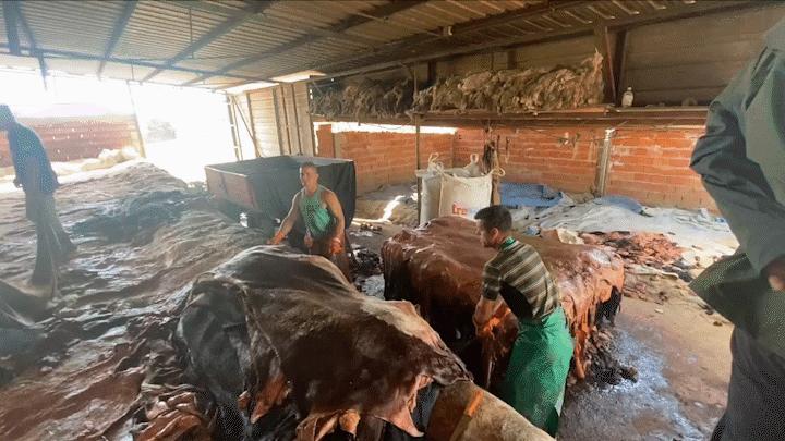 乌拉圭女老板出口羊皮，做成UGG价格翻100倍，成本才2美金