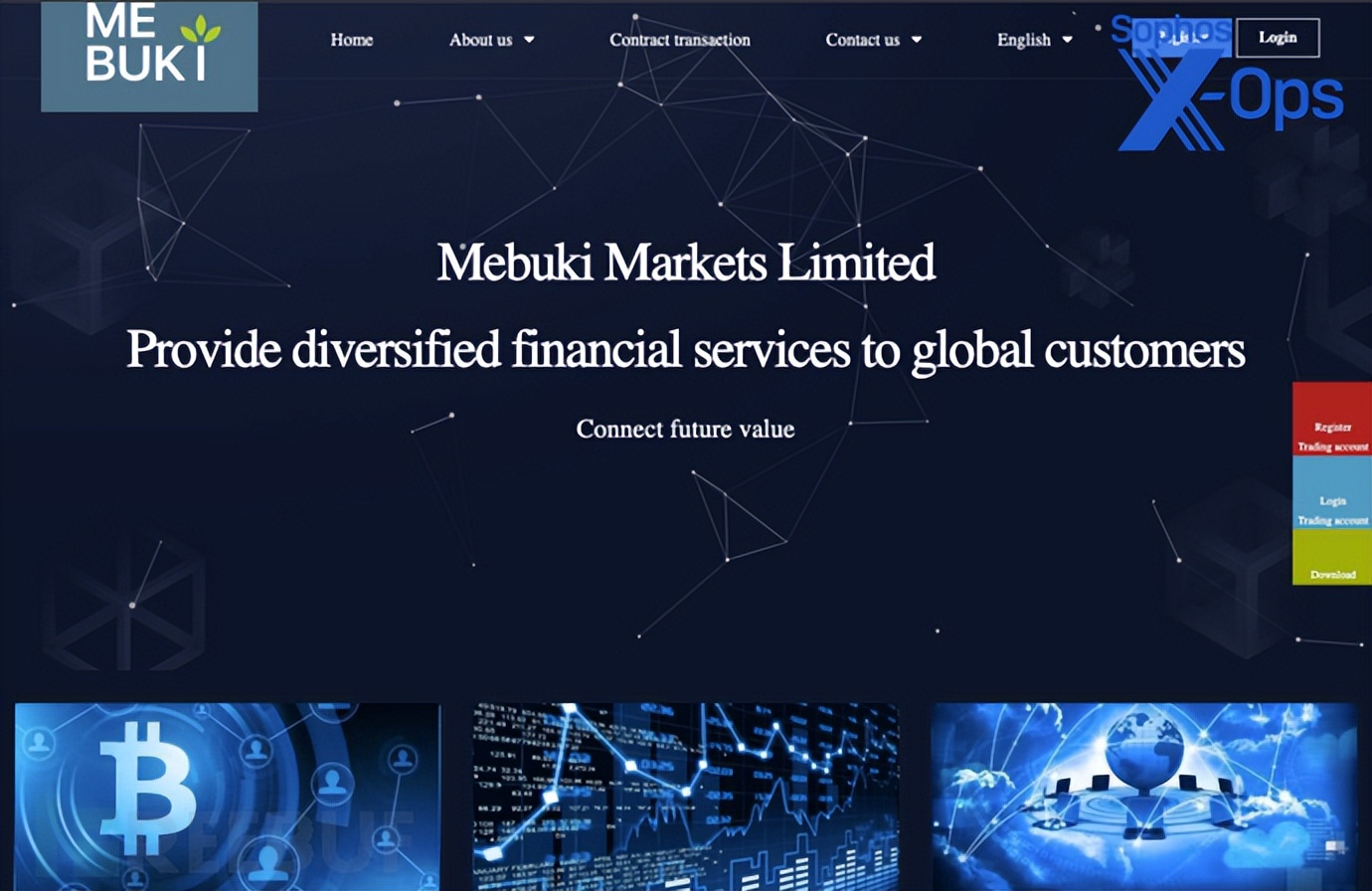 黄金期货投资杀猪盘,虚拟货币杀猪盘骗局动画