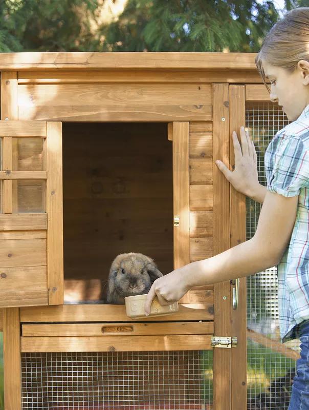 宠物基础服务包括什么服务,宠物服务包括哪些内容呢