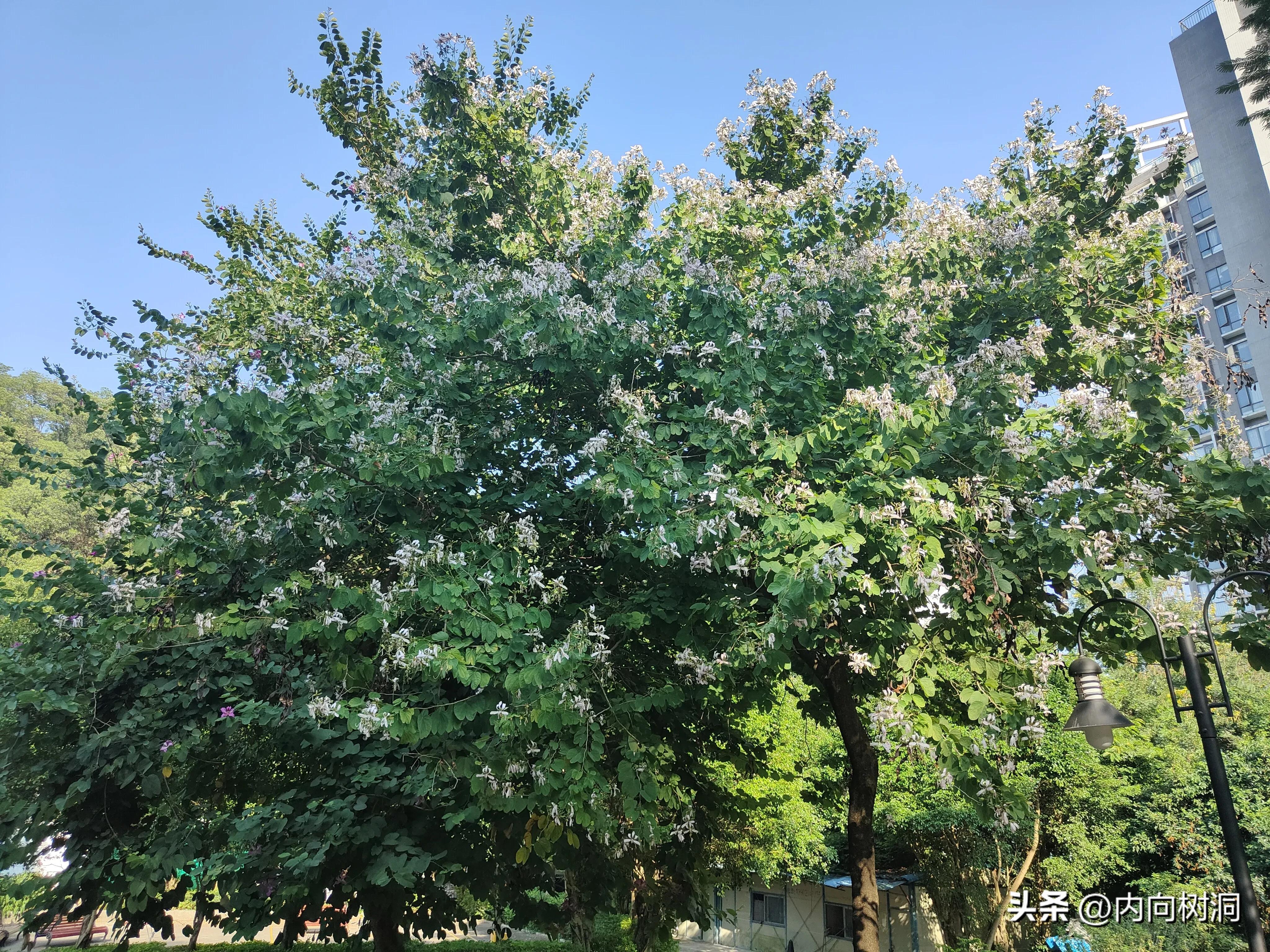 淘金山求水山徒步线路,求水山淘金山绿道在哪里