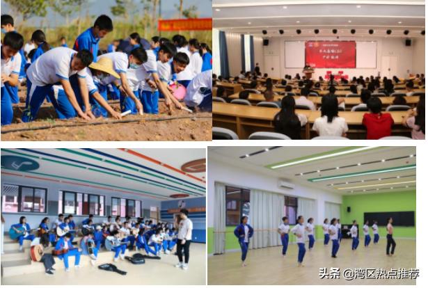 河源广赋创新学校怎么样,河源广赋创新学校开办多久